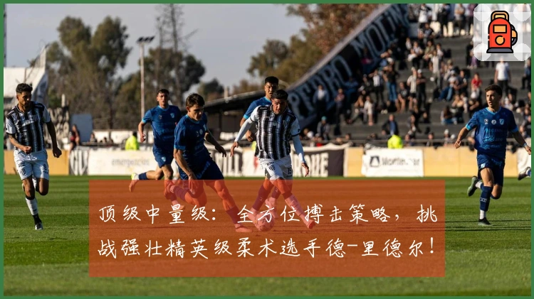 顶级中量级：全方位搏击策略，挑战强壮精英级柔术选手德-里德尔！