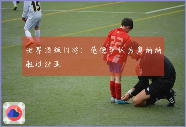 世界顶级门将：范德萨认为奥纳纳胜过拉亚