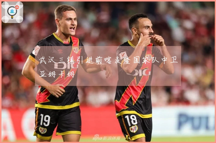 武汉三镇引进前喀麦隆国家队中卫亚姆卡姆