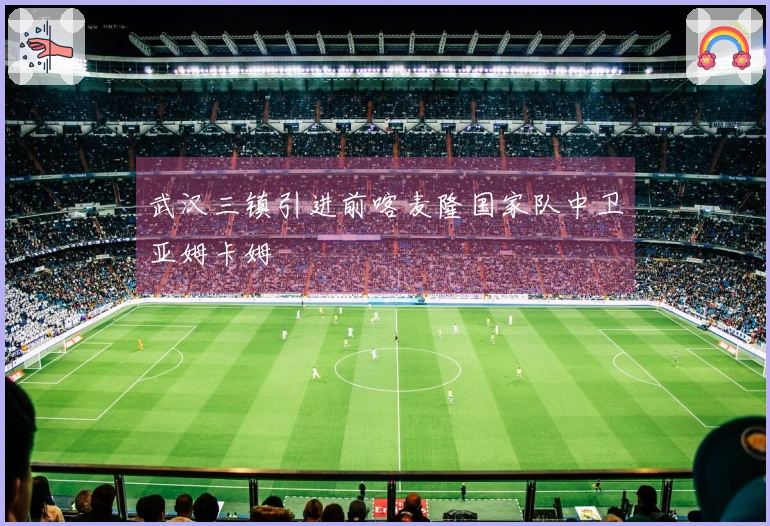 武汉三镇引进前喀麦隆国家队中卫亚姆卡姆