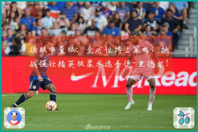顶级中量级：全方位搏击策略，挑战强壮精英级柔术选手德-里德尔！