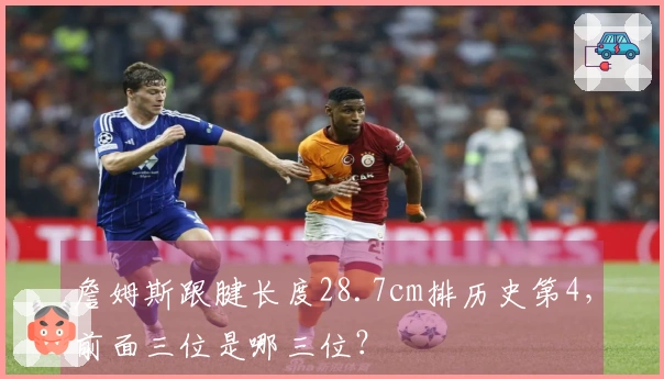 詹姆斯跟腱长度28.7cm排历史第4，前面三位是哪三位？